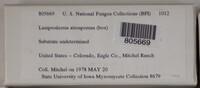 Image Associated With the Occurence